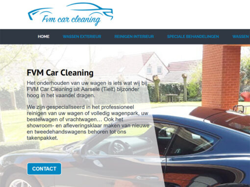 FVM Car Cleaning